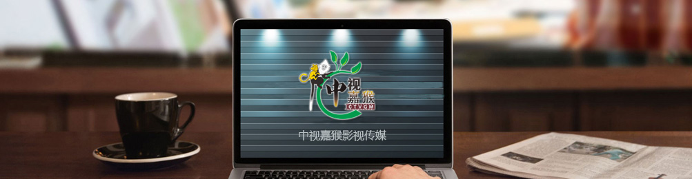 公司介绍 - 广西中视嘉猴影视传媒投资有限责任公司